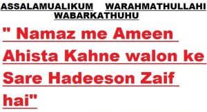 ameen pakka